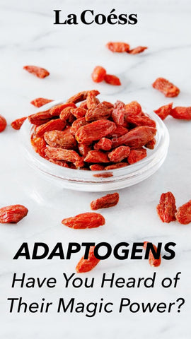 What Are Adaptogens - Have You Heard of Their Magic Power [Infographic]?