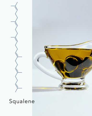 Squalane, Squalene and Argan Oil, What are Their Differences & Which is the Best Skin Oil Ingredient